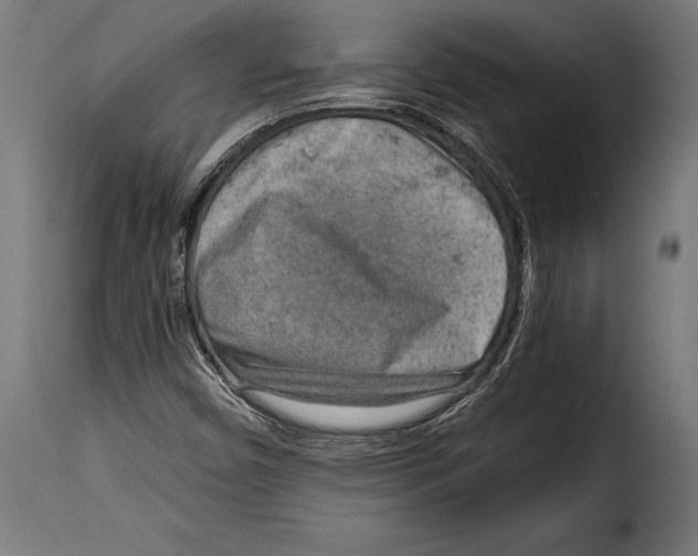 X0000115021450200911231239