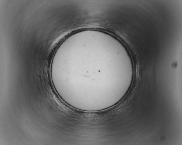 X0000115021452200911231239