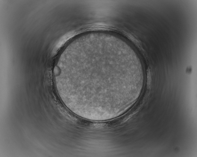 X0000115021453200911231239