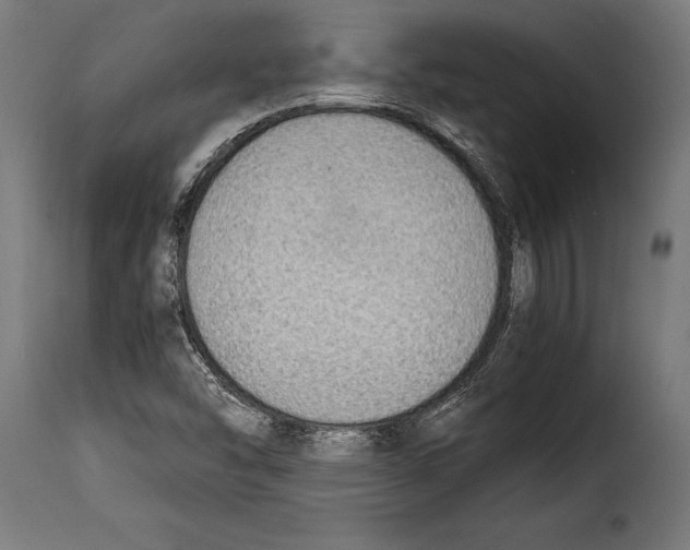 X0000115021454200911231239