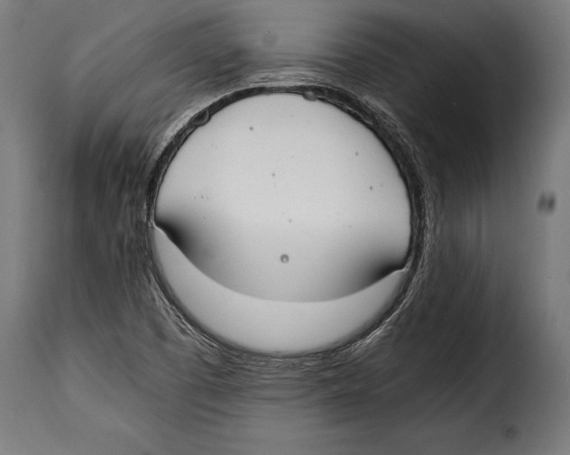 X0000115021457200911231239