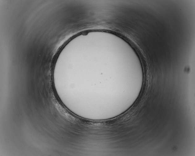 X0000115021460200911231239