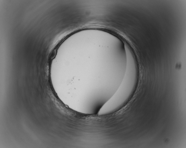 X0000115021461200911231239