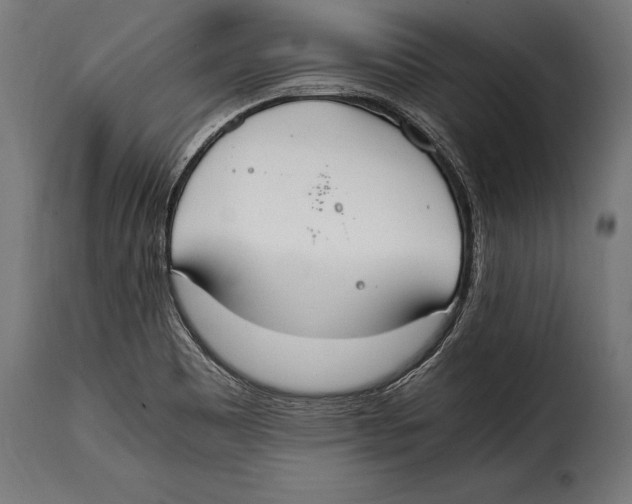 X0000115021465200911231239