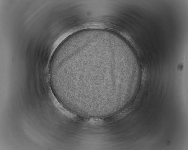 X0000115021466200911231239