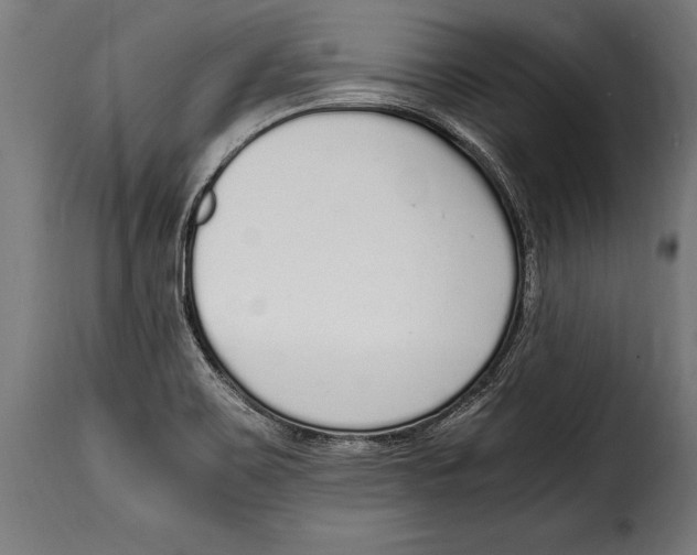 X0000115021467200911231239