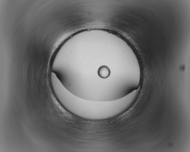 X0000115021469200911231239