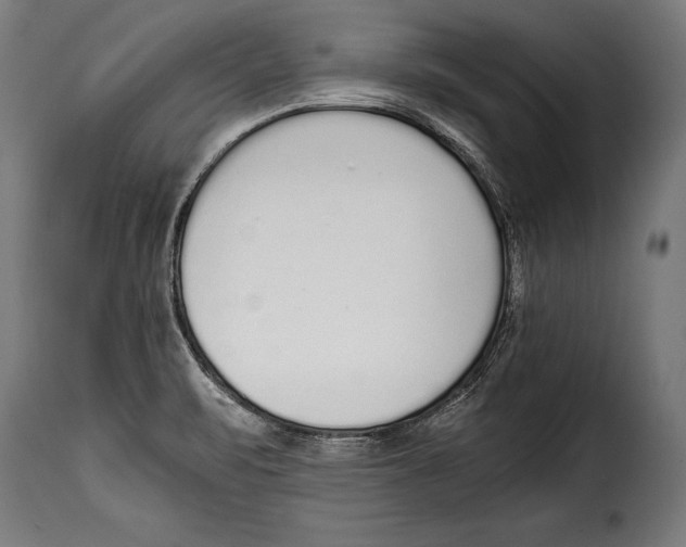 X0000115021471200911231239