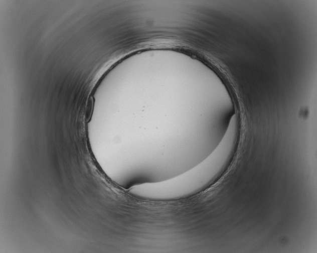 X0000115021473200911231239