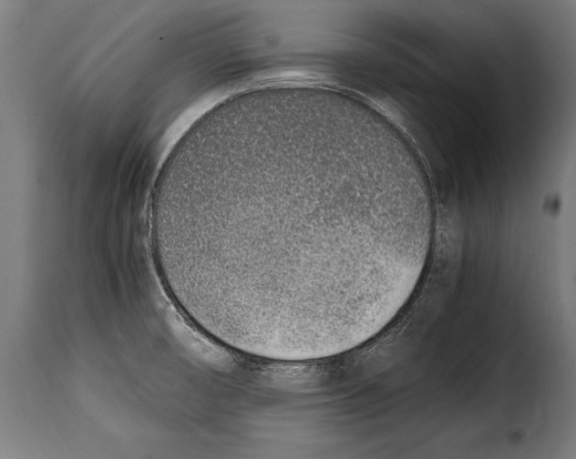 X0000115021474200911231239