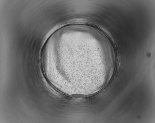 X0000115021475200911231239