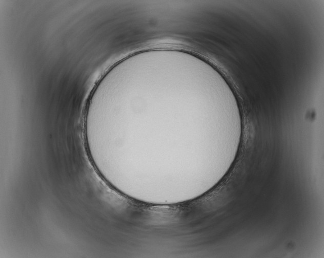 X0000115021478200911231239