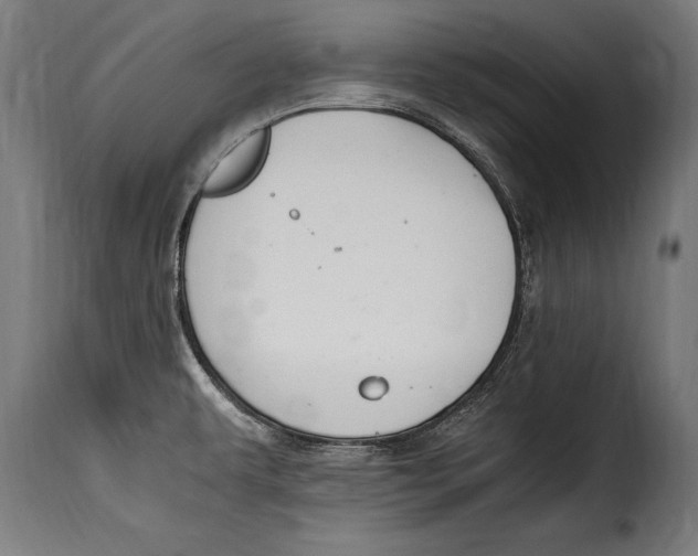 X0000115021479200911231239