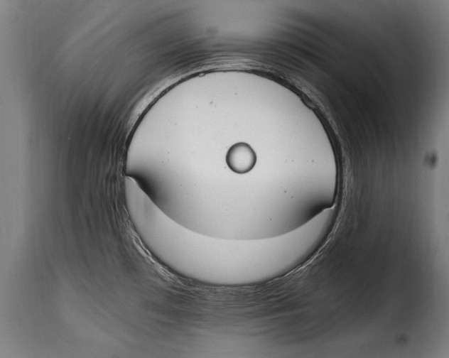 X0000115021481200911231239