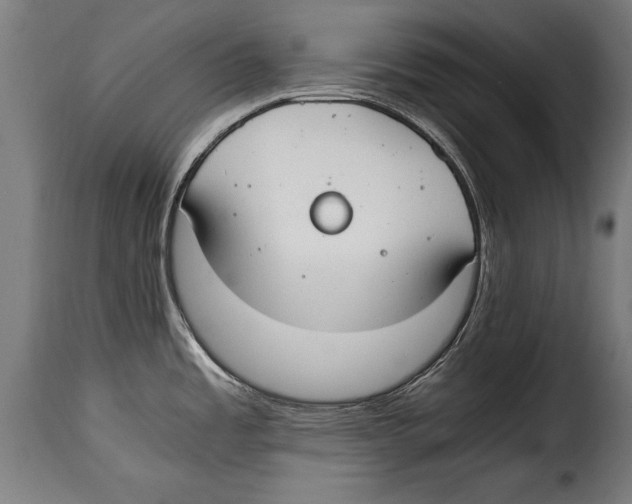 X0000115021485200911231239