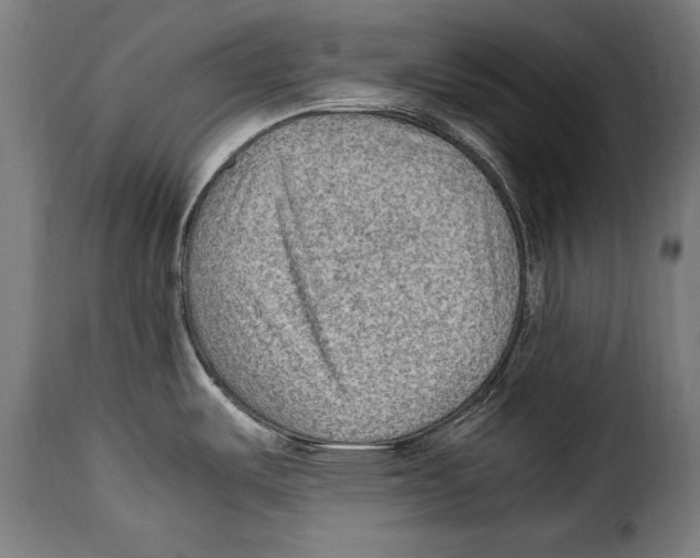 X0000115021487200911231239