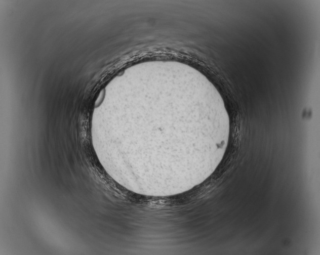 X0000115021490200911231238