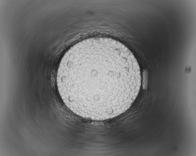 X0000115021491200911231238