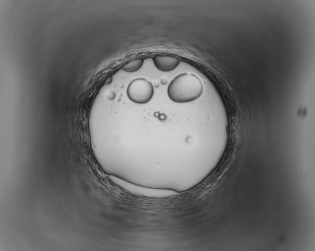 X0000115021494200911231238