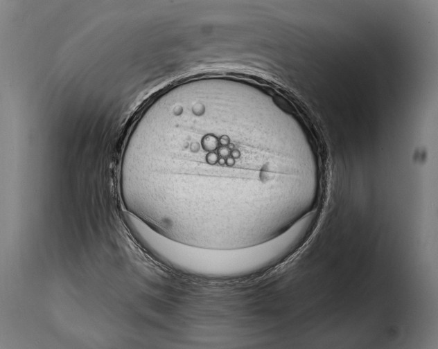 X0000115021497200911231238