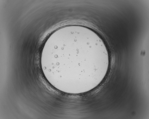 X0000115021498200911231238