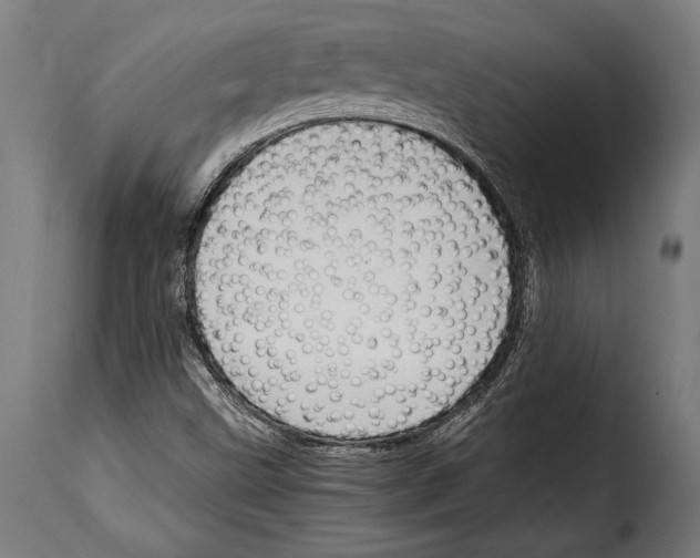 X0000115021499200911231238