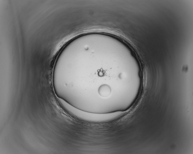 X0000115021501200911231238