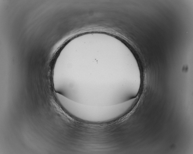 X0000115021502200911231238