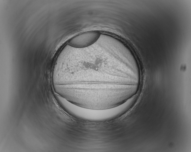 X0000115021505200911231238