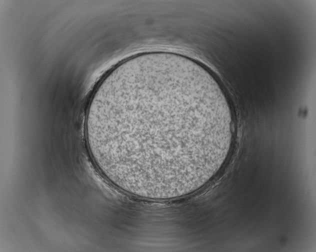 X0000115021507200911231238