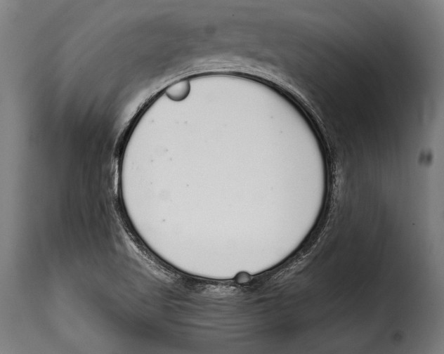 X0000115021509200911231238