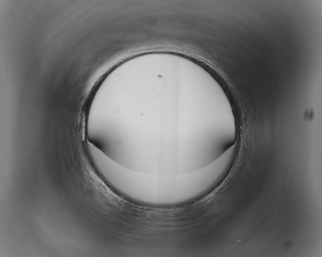 X0000115021510200911231238