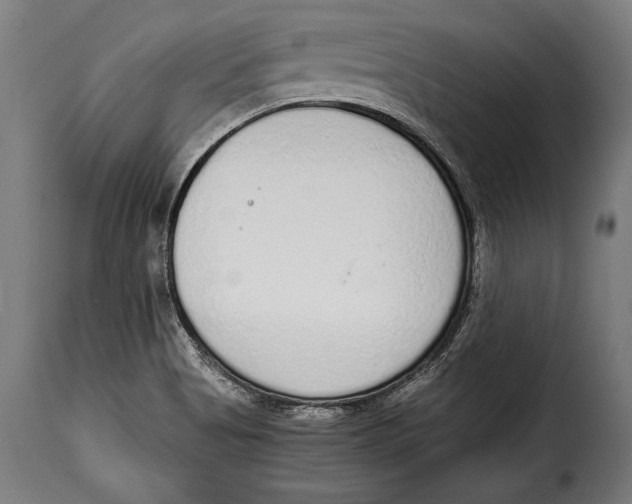 X0000115021513200911231238