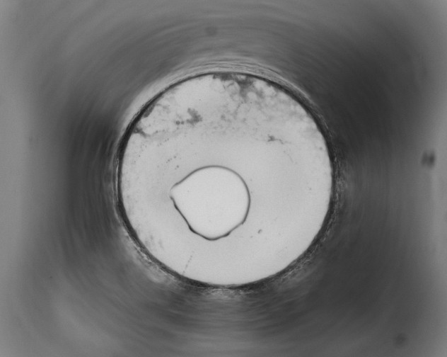 X0000115021514200911231238