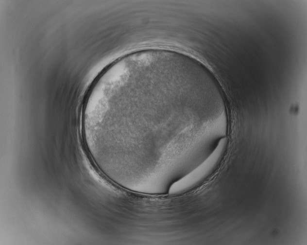 X0000115021515200911231238