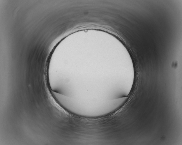 X0000115021518200911231238