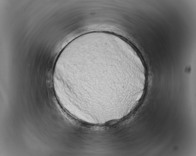 X0000115021521200911231238