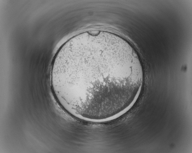 X0000115021522200911231238