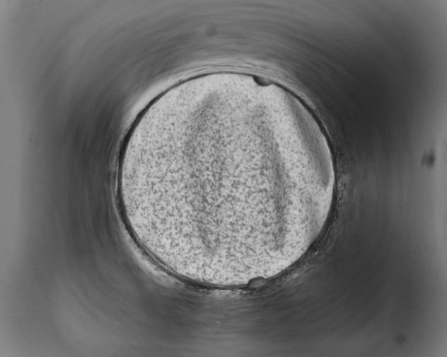 X0000115021523200911231238