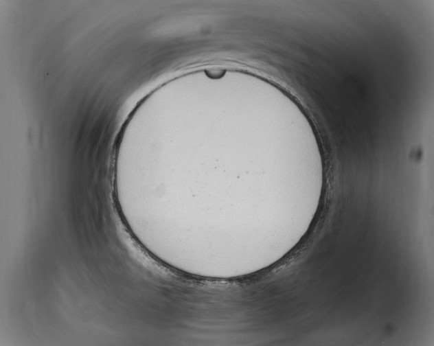 X0000115021526200911231238