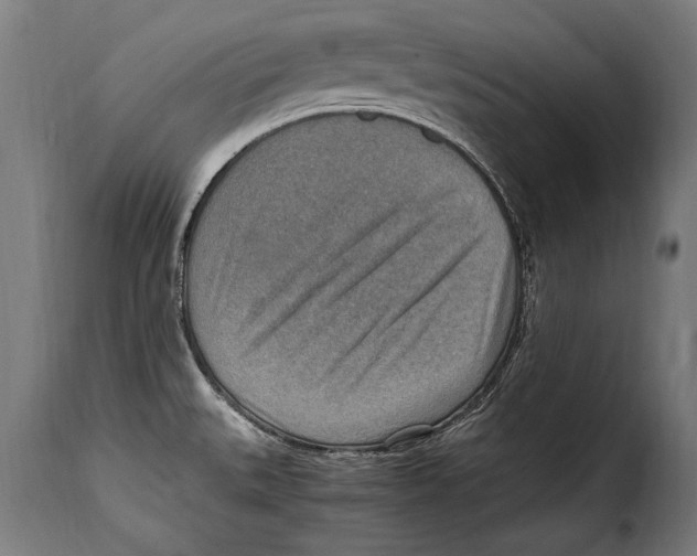 X0000115021527200911231238