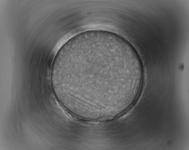 X0000115021529200911231238