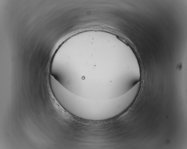 X0000115021530200911231238