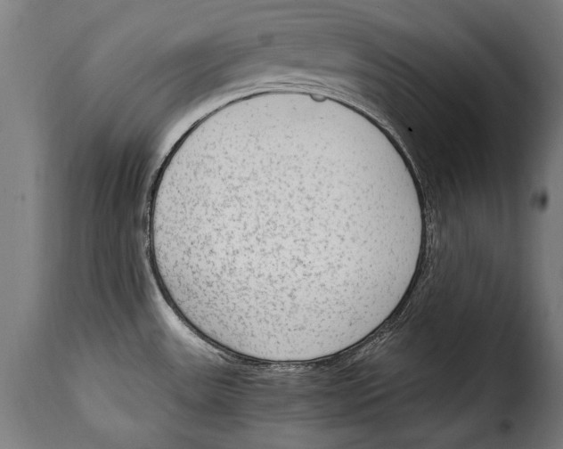 X0000115021531200911231238