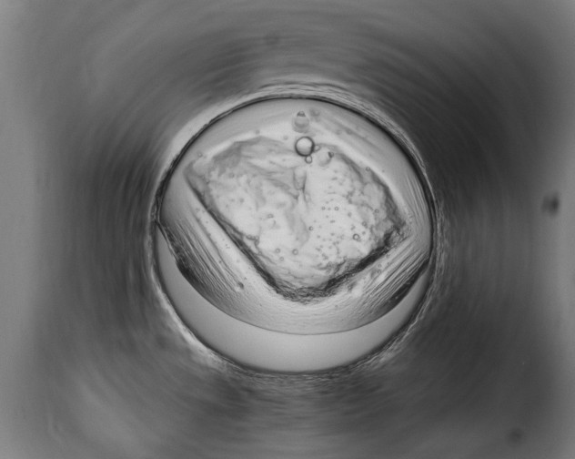 X0000115021533200911231238