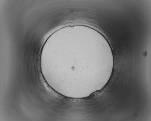 X0000115021534200911231238