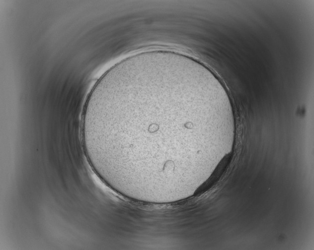 X0000115021535200911231239