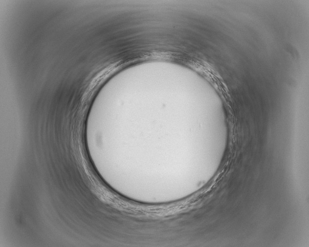 X0000115020001200912071037