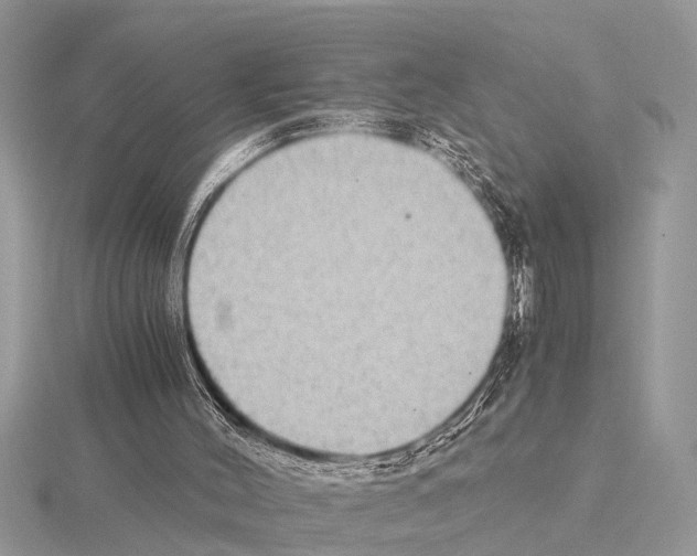 X0000115020004200912071037