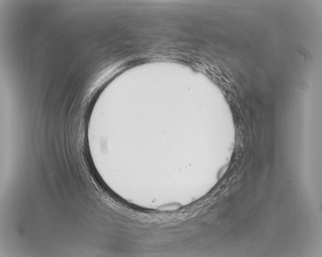 X0000115020005200912071037